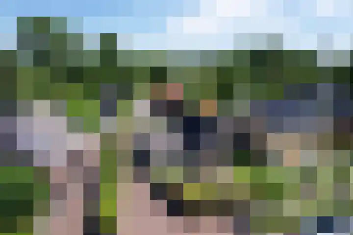 Jeltingalaan 52 Buitenpost thumbnail 82