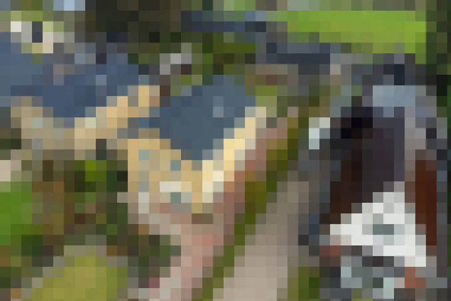 Jeltingalaan 66 Buitenpost