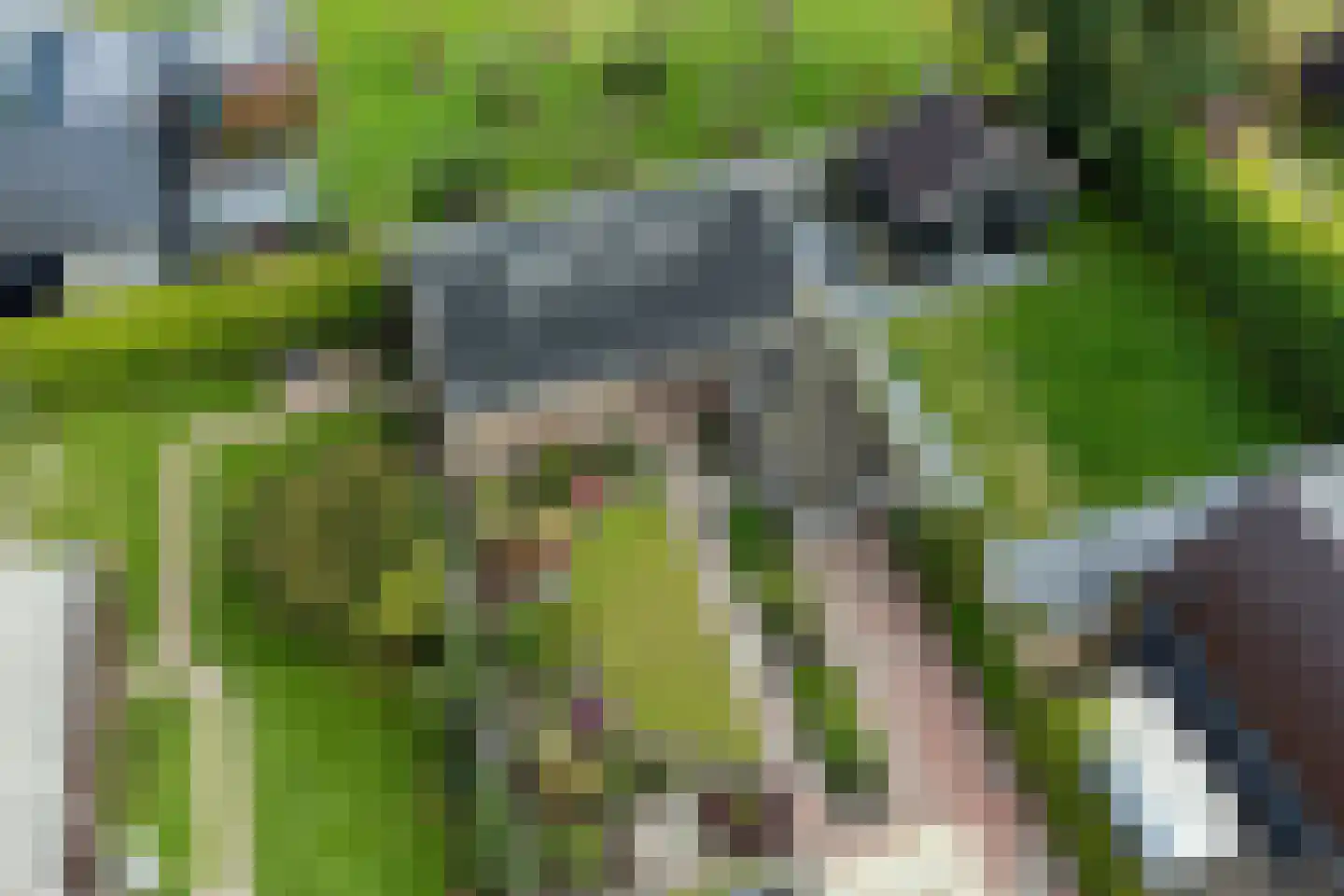Jeltingalaan 66 Buitenpost thumbnail 11