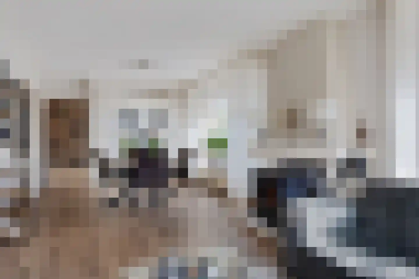 Jeltingalaan 66 Buitenpost thumbnail 18