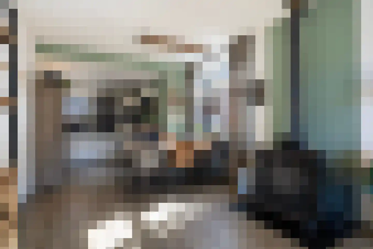 Jeltingalaan 8 Buitenpost thumbnail 10