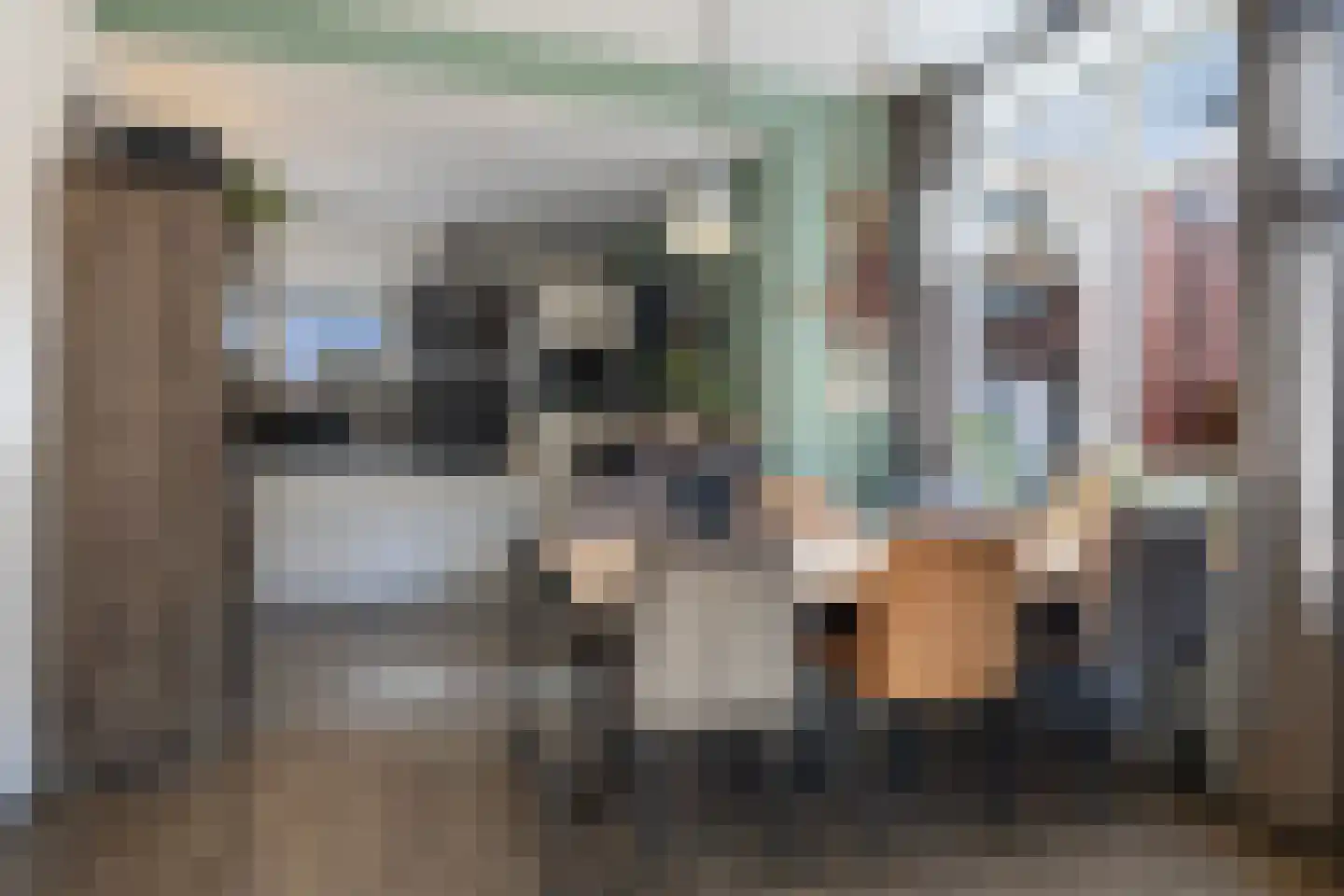 Jeltingalaan 8 Buitenpost thumbnail 11