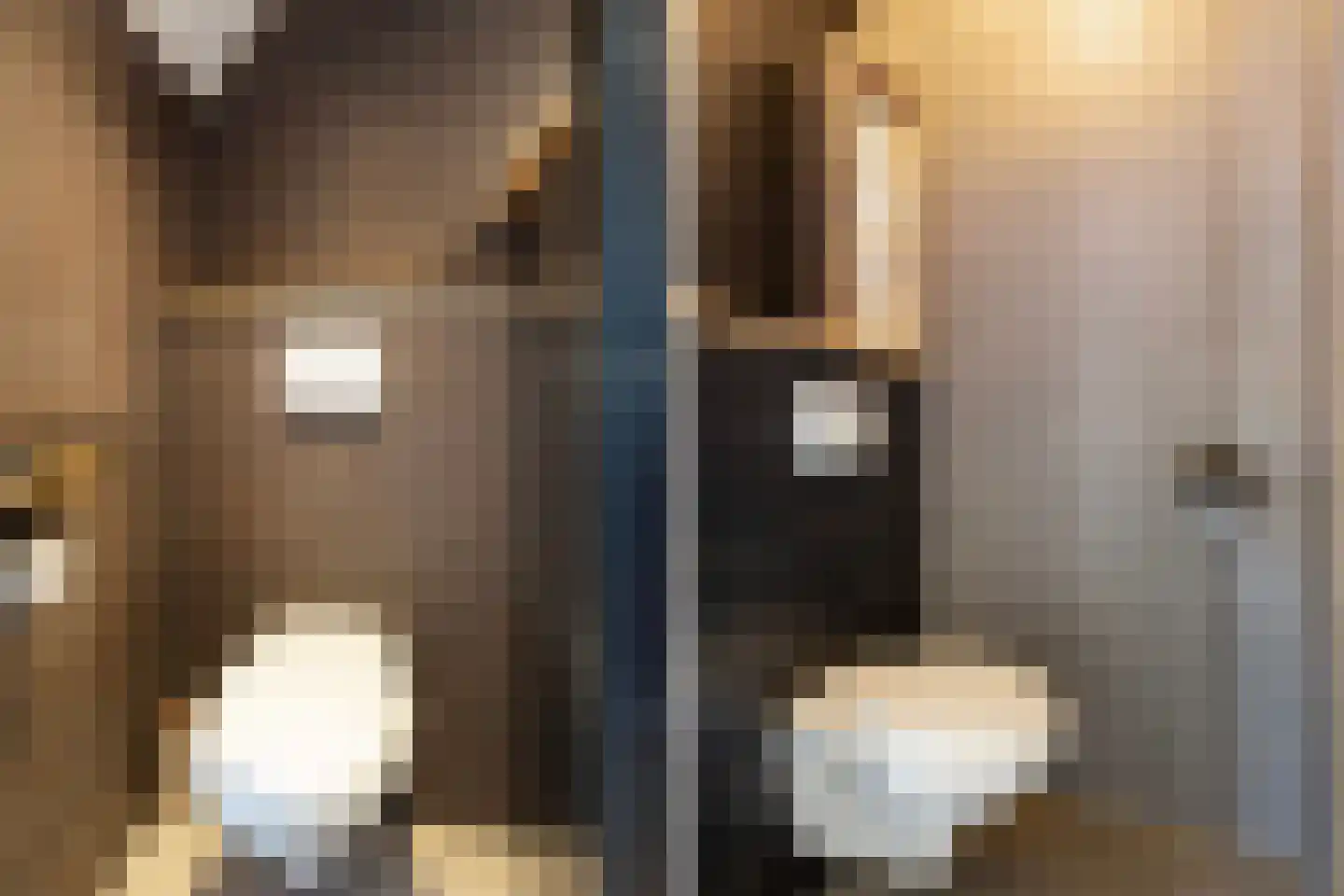 Jeltingalaan 8 Buitenpost thumbnail 28
