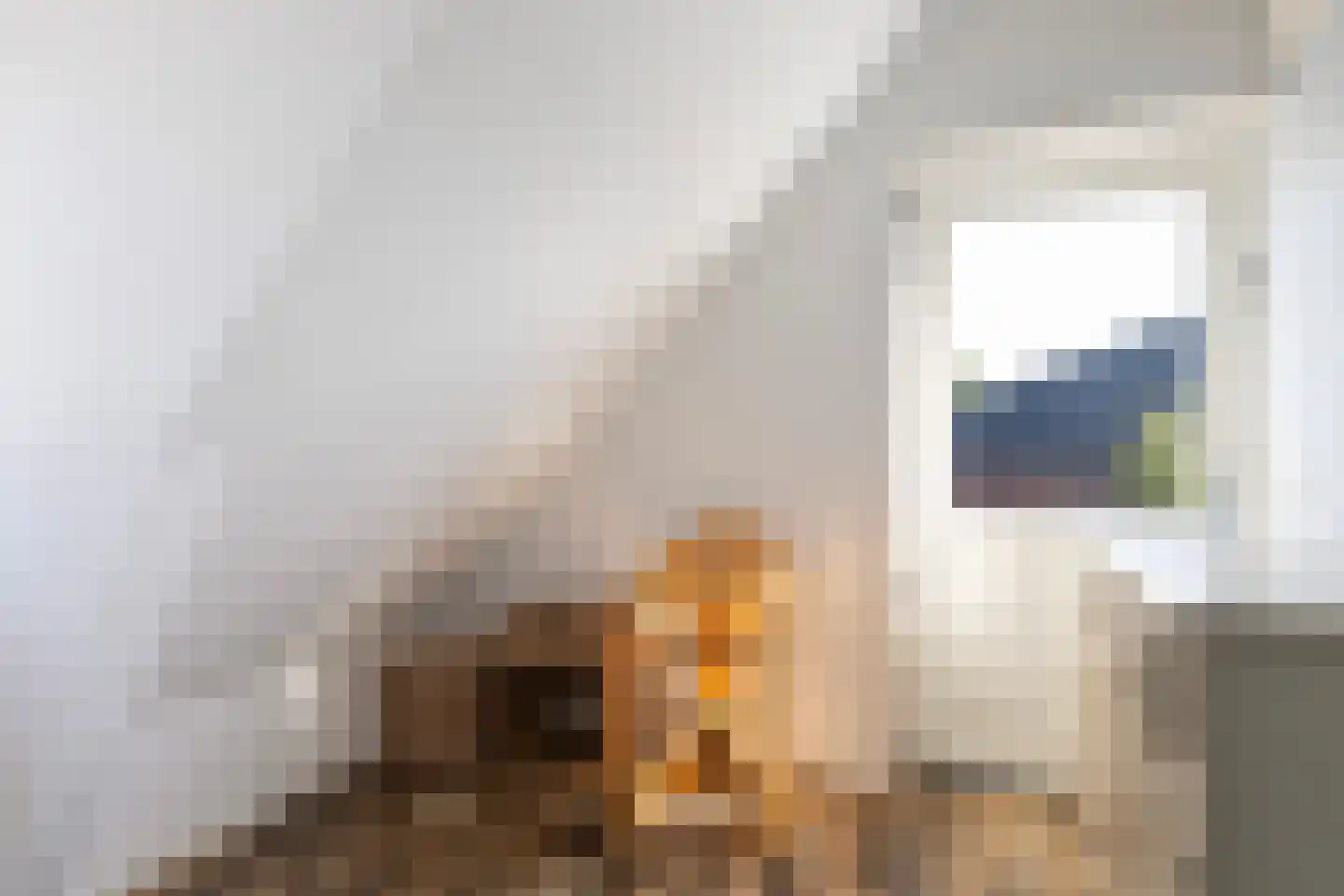 Jeltingalaan 8 Buitenpost thumbnail 34