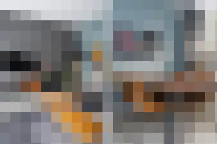 Jeltje de Bosch Kemperstraat 103 Alphen aan den Rijn thumbnail 21