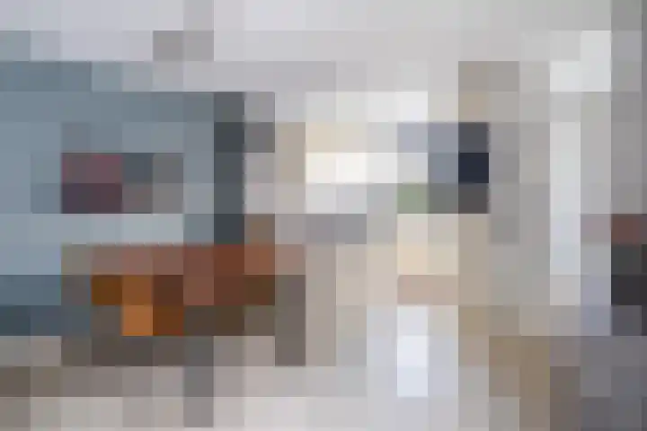 Jeltje de Bosch Kemperstraat 103 Alphen aan den Rijn thumbnail 24