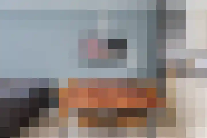 Jeltje de Bosch Kemperstraat 103 Alphen aan den Rijn thumbnail 25