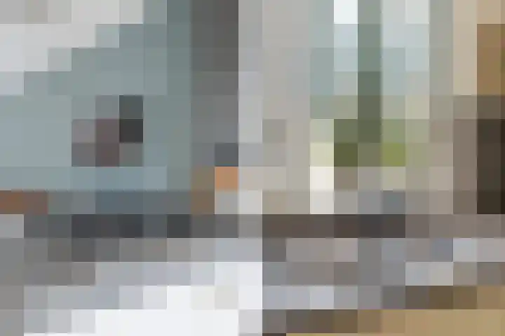 Jeltje de Bosch Kemperstraat 103 Alphen aan den Rijn thumbnail 31