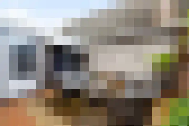 Jeltje de Bosch Kemperstraat 103 Alphen aan den Rijn thumbnail 32