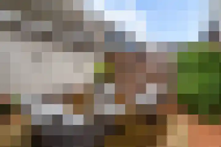 Jeltje de Bosch Kemperstraat 103 Alphen aan den Rijn thumbnail 33