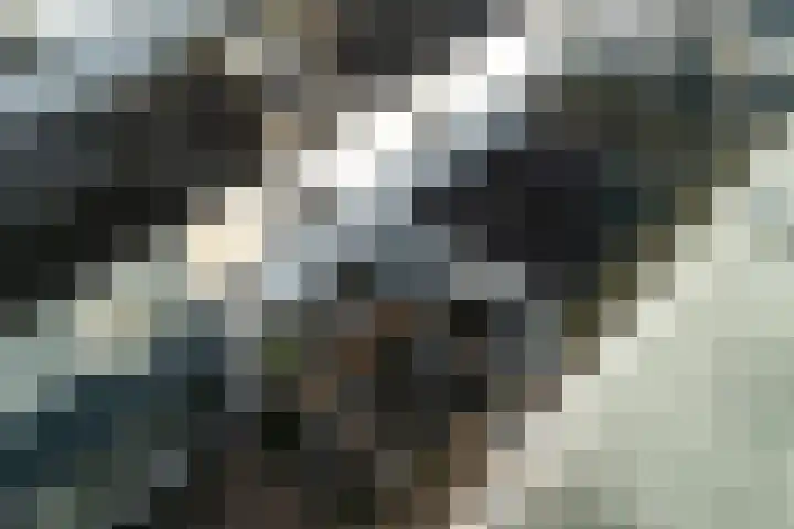 Jeltje de Bosch Kemperstraat 103 Alphen aan den Rijn thumbnail 34