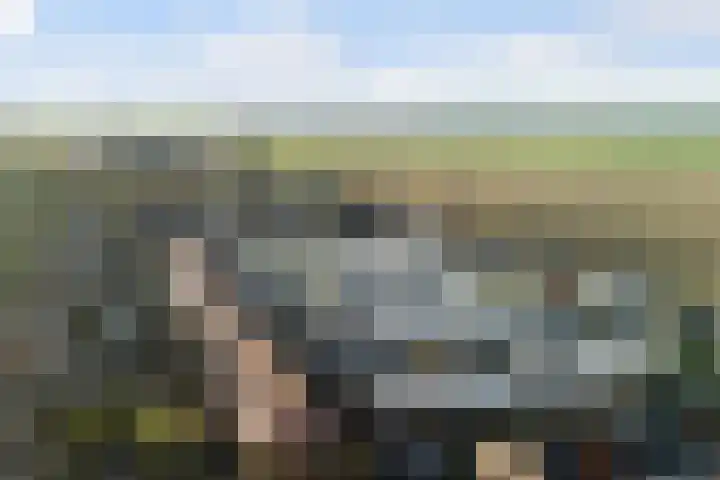 Jeltje de Bosch Kemperstraat 103 Alphen aan den Rijn thumbnail 4