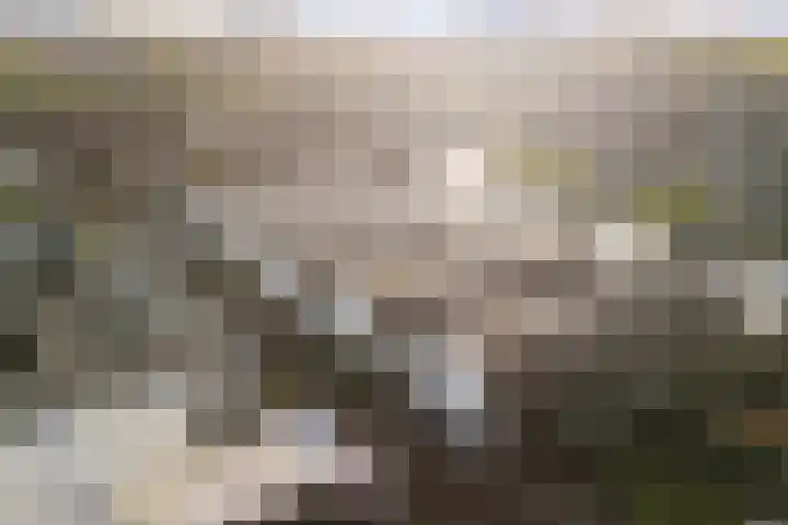 Jeltje de Bosch Kemperstraat 103 Alphen aan den Rijn thumbnail 49