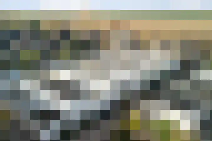 Jeltje de Bosch Kemperstraat 103 Alphen aan den Rijn thumbnail 5