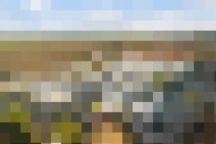 Jeltje de Bosch Kemperstraat 103 Alphen aan den Rijn thumbnail 50