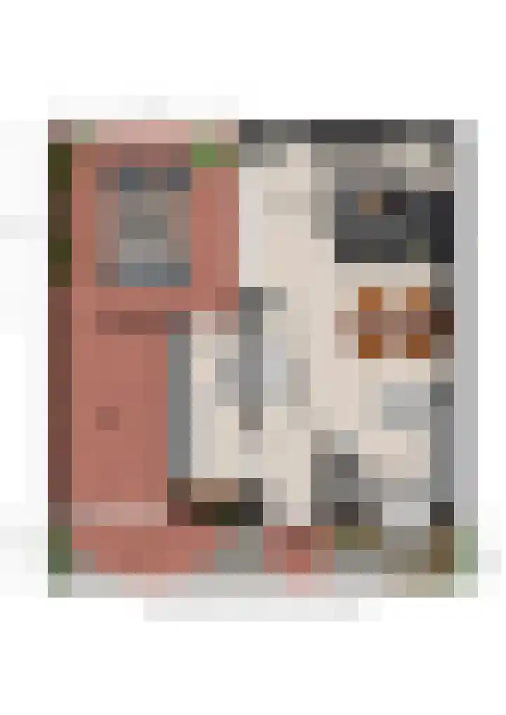 Jeltje de Bosch Kemperstraat 103 Alphen aan den Rijn thumbnail 56