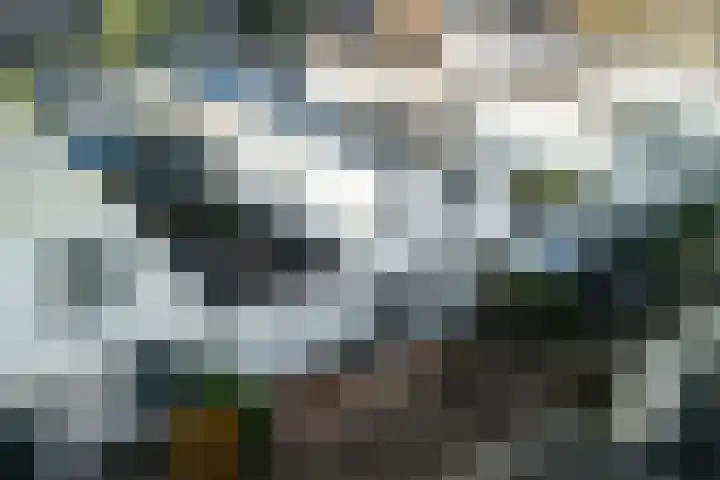 Jeltje de Bosch Kemperstraat 103 Alphen aan den Rijn thumbnail 6