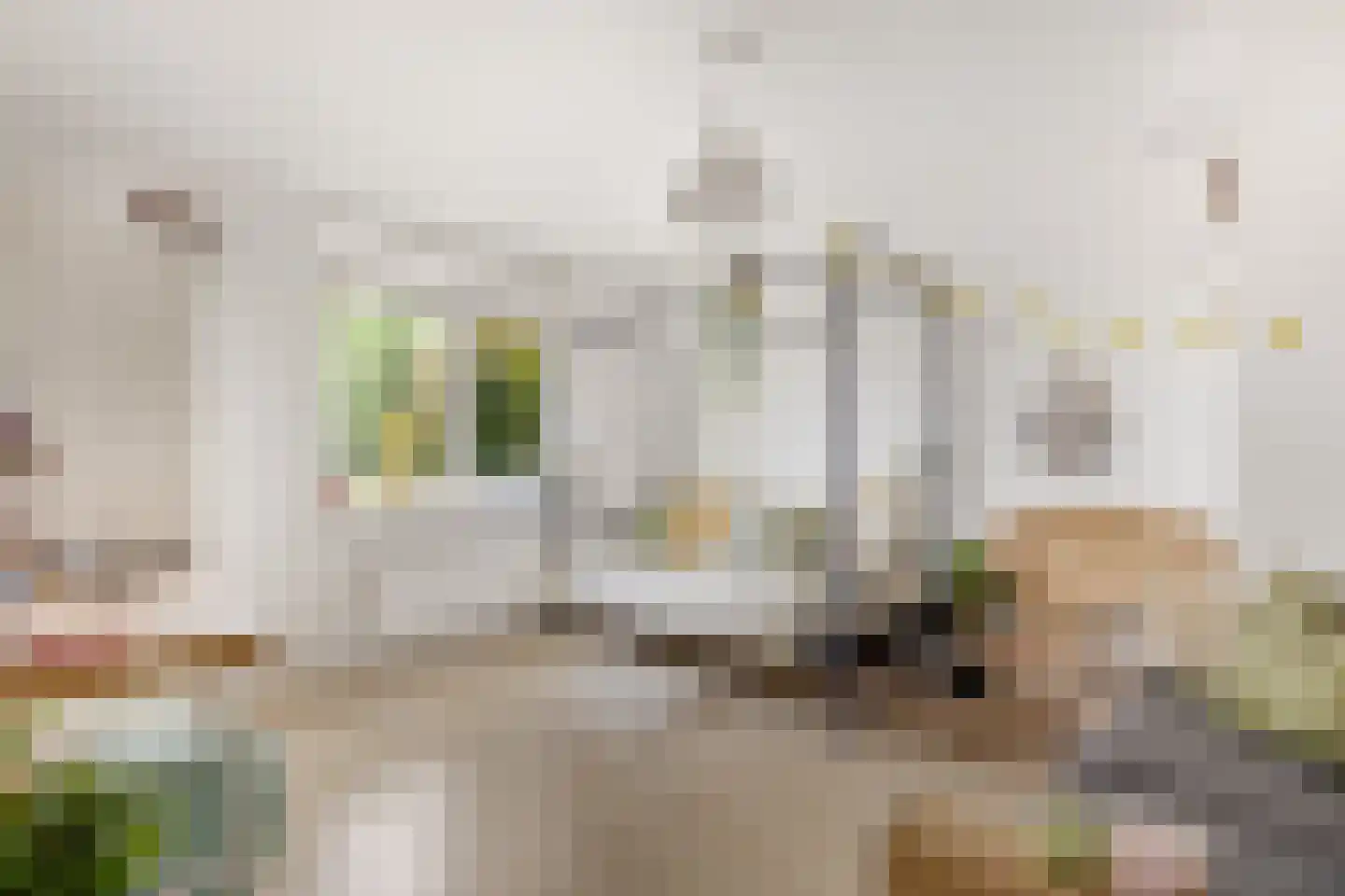 Jeltje de Bosch Kemperstraat 171 Alphen aan den Rijn thumbnail 19
