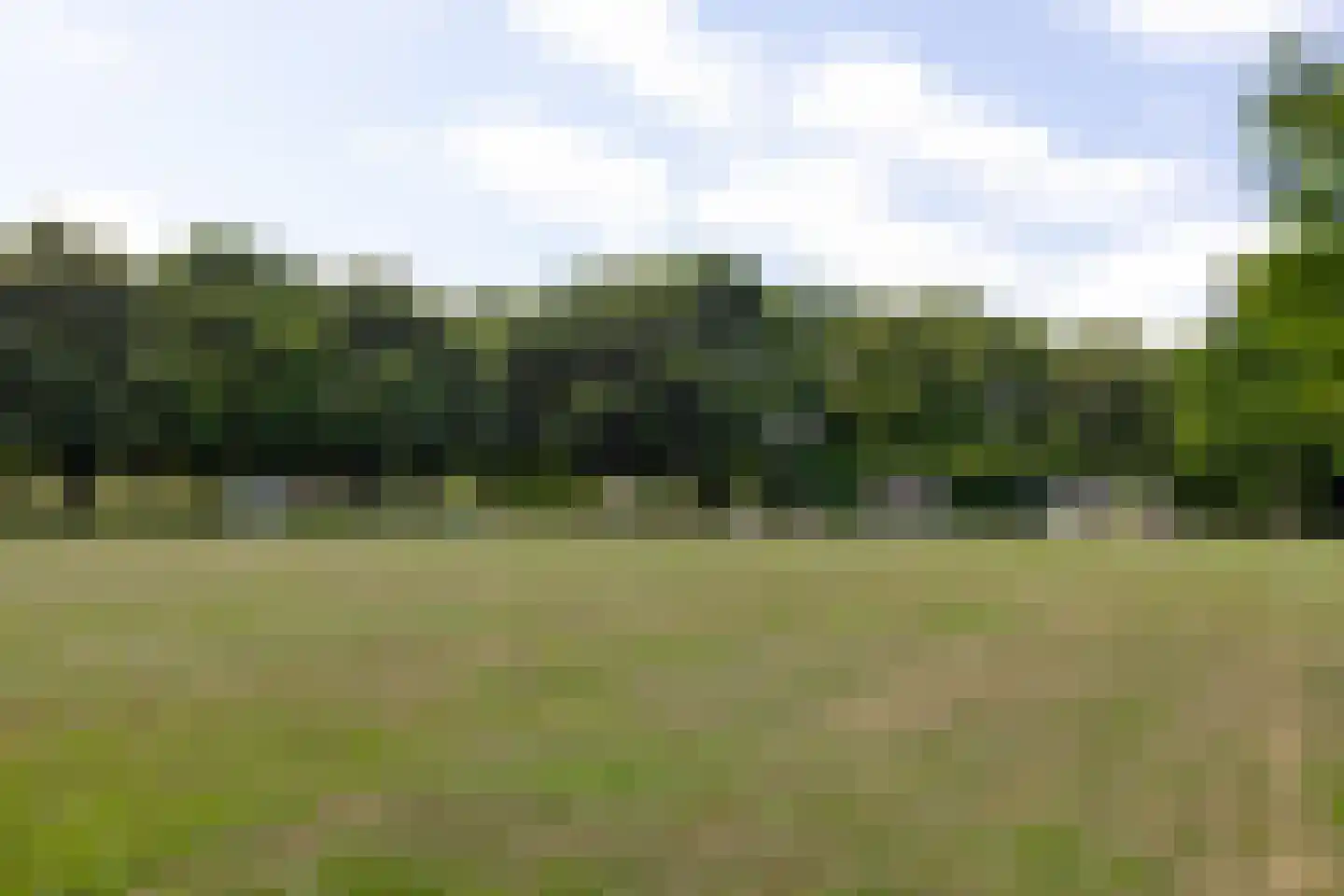 Jeltje de Bosch Kemperstraat 171 Alphen aan den Rijn thumbnail 35