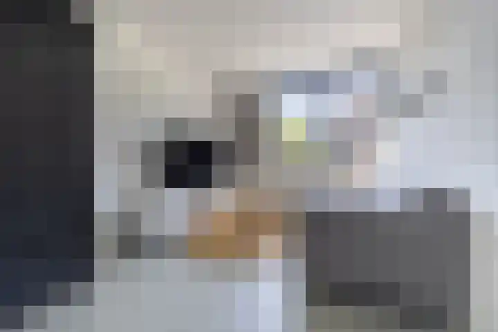 Jeltje de Bosch Kemperstraat 213 Alphen aan den Rijn thumbnail 10