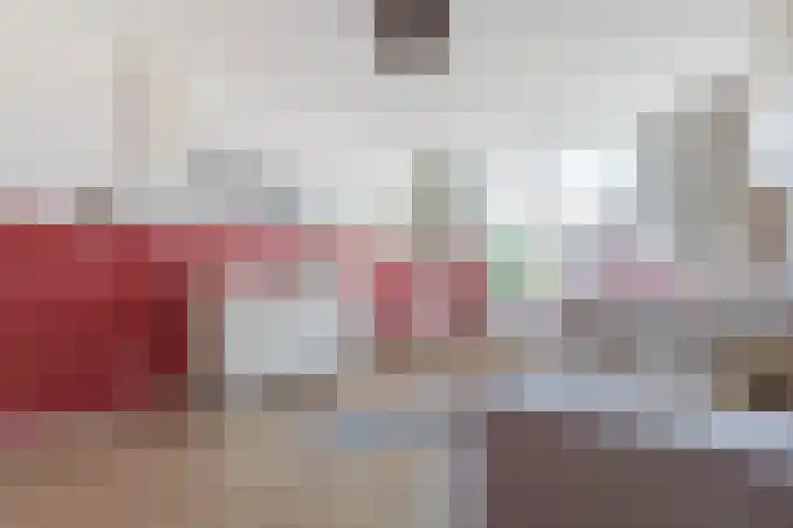 Jeltje de Bosch Kemperstraat 213 Alphen aan den Rijn thumbnail 16