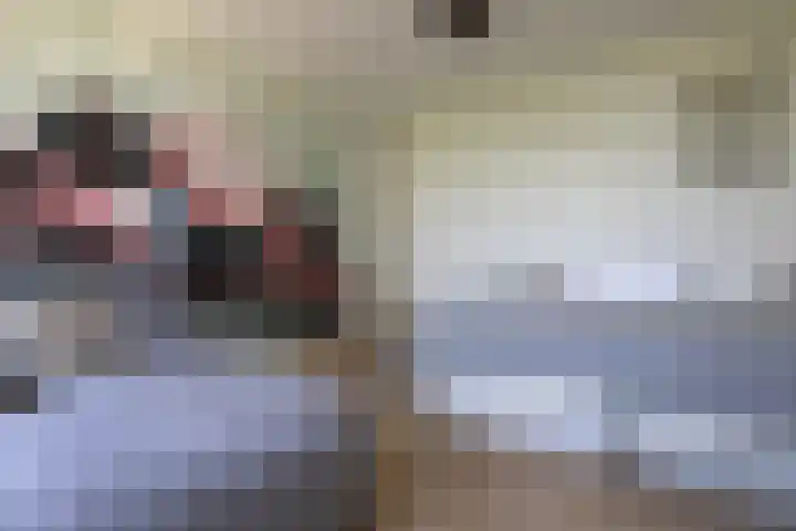 Jeltje de Bosch Kemperstraat 213 Alphen aan den Rijn thumbnail 20