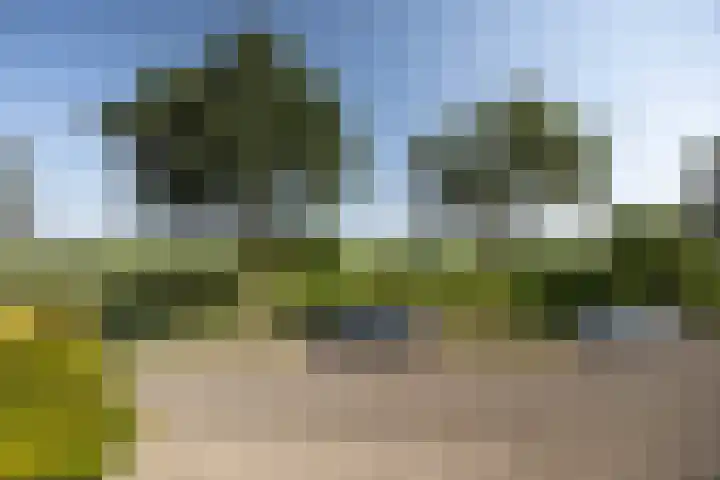 Jeltje de Bosch Kemperstraat 213 Alphen aan den Rijn thumbnail 21