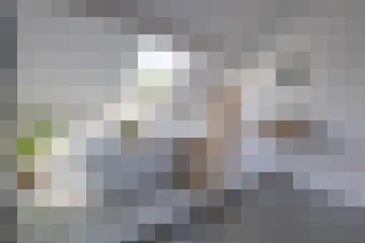 Jeltje de Bosch Kemperstraat 213 Alphen aan den Rijn thumbnail 26