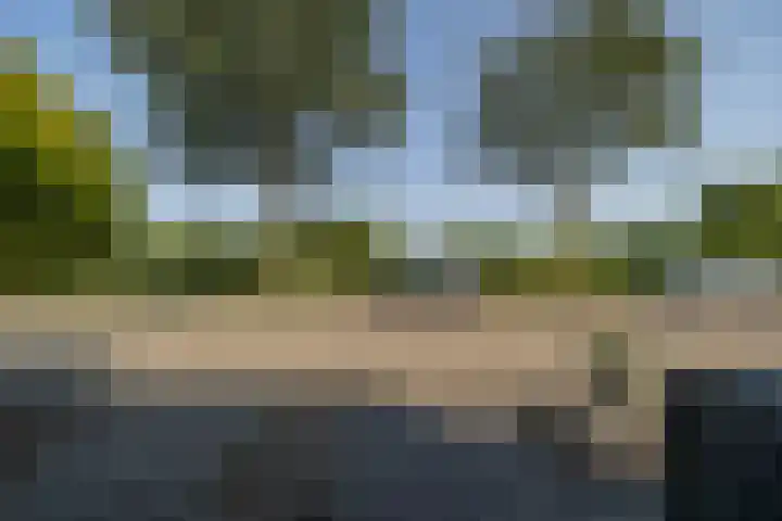 Jeltje de Bosch Kemperstraat 213 Alphen aan den Rijn thumbnail 27