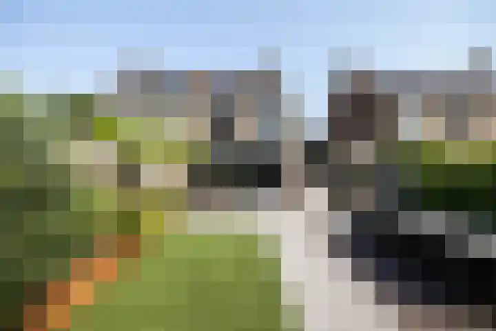 Jeltje de Bosch Kemperstraat 213 Alphen aan den Rijn thumbnail 30