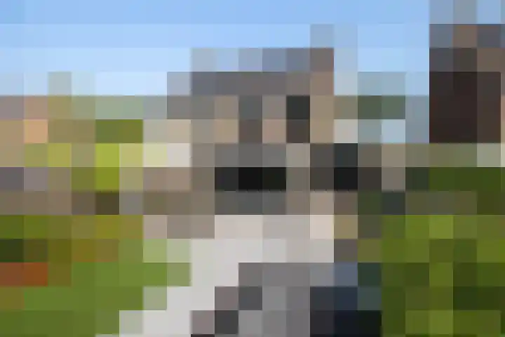 Jeltje de Bosch Kemperstraat 213 Alphen aan den Rijn thumbnail 31