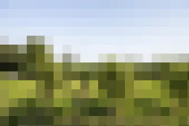 Jeltje de Bosch Kemperstraat 213 Alphen aan den Rijn thumbnail 34