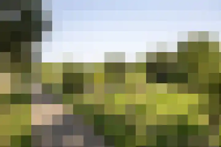 Jeltje de Bosch Kemperstraat 213 Alphen aan den Rijn thumbnail 35