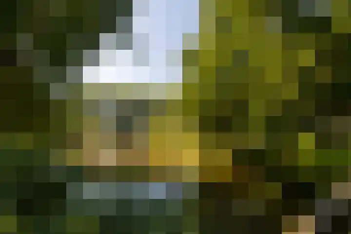 Jeltje de Bosch Kemperstraat 213 Alphen aan den Rijn thumbnail 37
