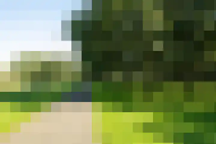 Jeltje de Bosch Kemperstraat 213 Alphen aan den Rijn thumbnail 38