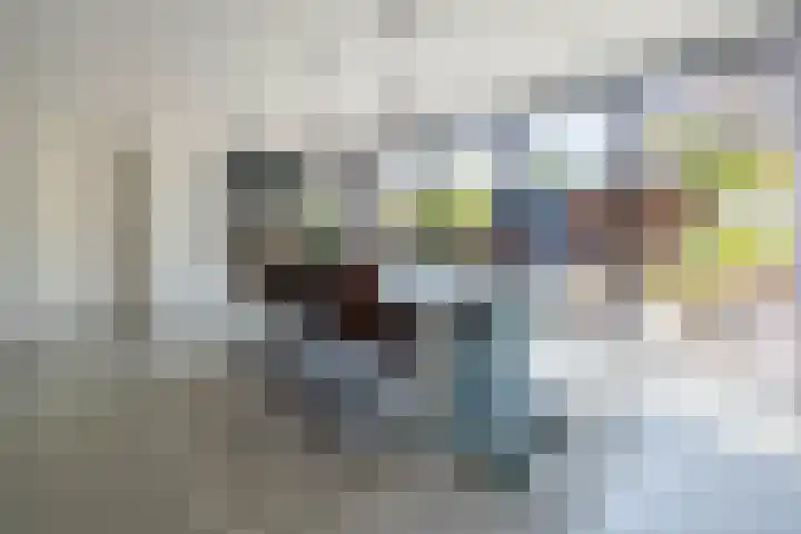 Jeltje de Bosch Kemperstraat 213 Alphen aan den Rijn thumbnail 9
