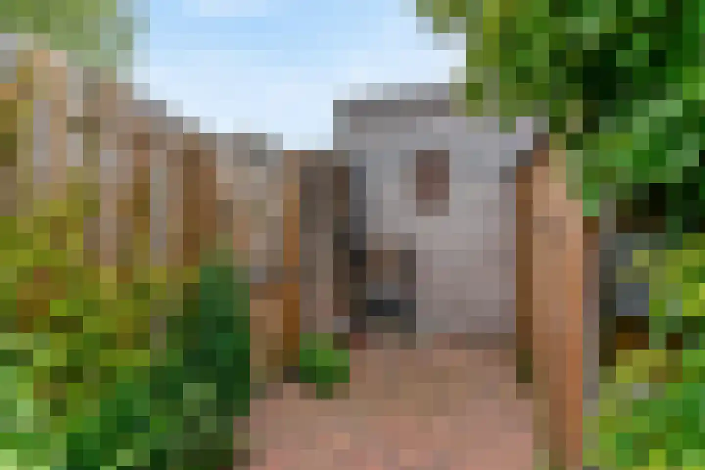 Jeltje de Bosch Kemperstraat 44 Alphen aan den Rijn thumbnail 24