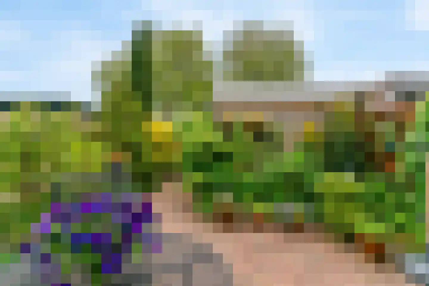 Jeltje de Bosch Kemperstraat 44 Alphen aan den Rijn thumbnail 5