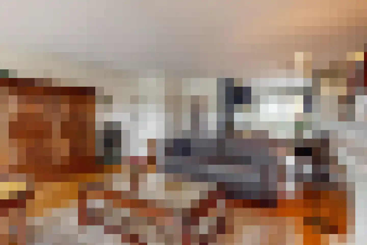 Jeltje de Bosch Kemperstraat 44 Alphen aan den Rijn thumbnail 6
