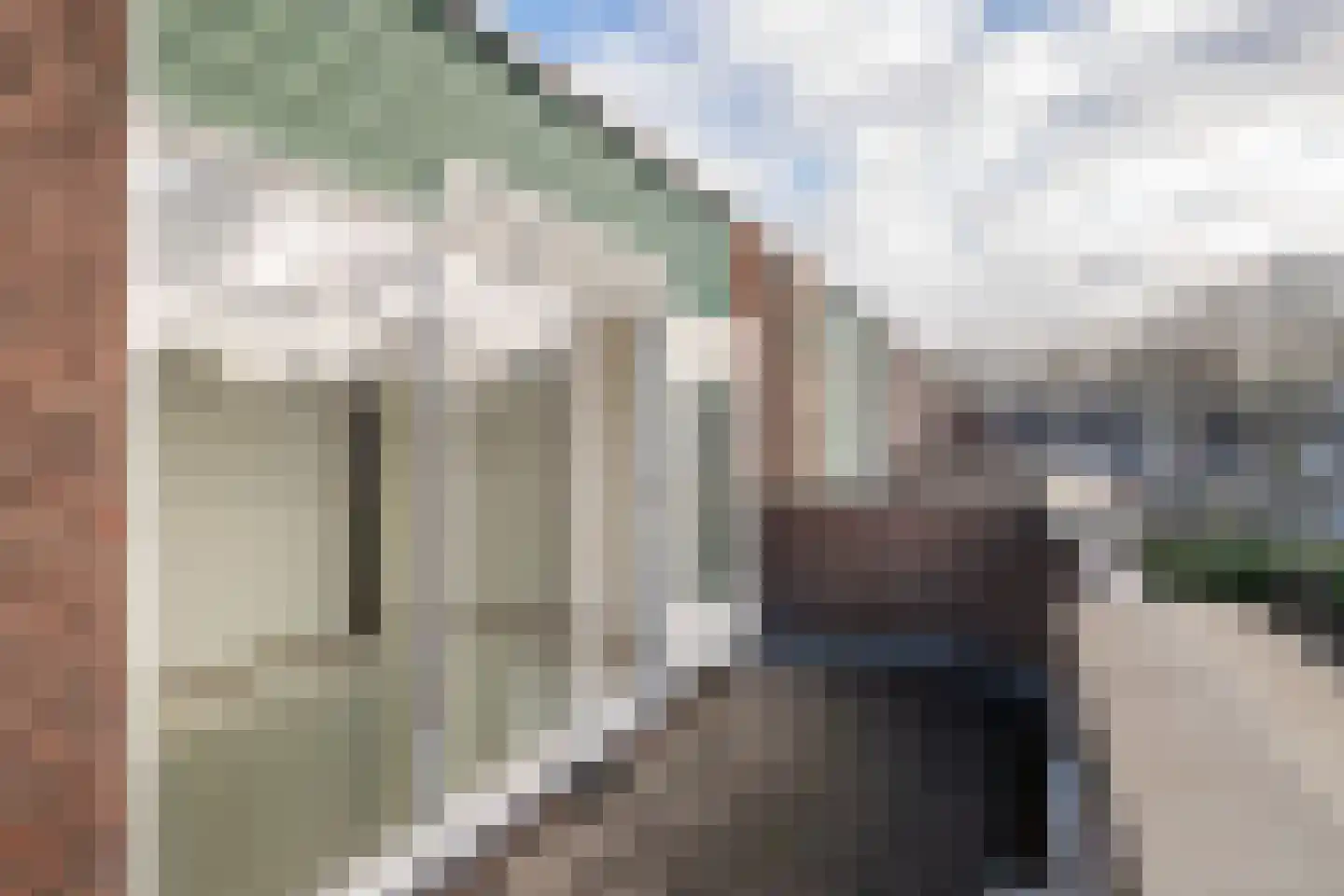 Jeneverbes 12 Rotterdam thumbnail 16