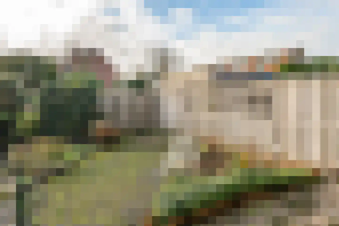 Jeneverbes 12 Rotterdam thumbnail 21