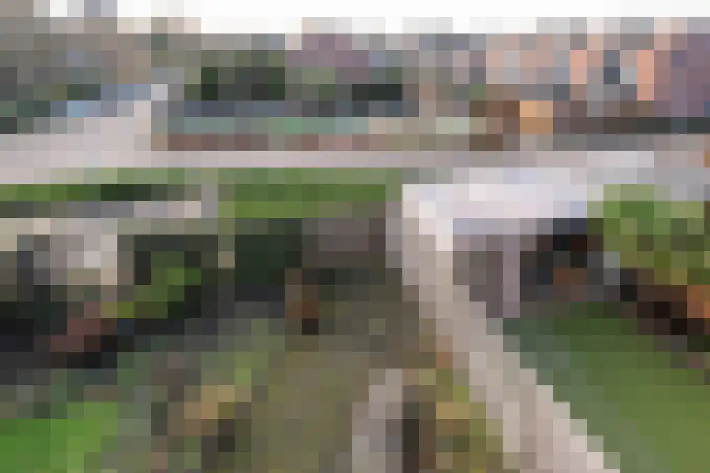 Jeneverbes 12 Rotterdam thumbnail 22