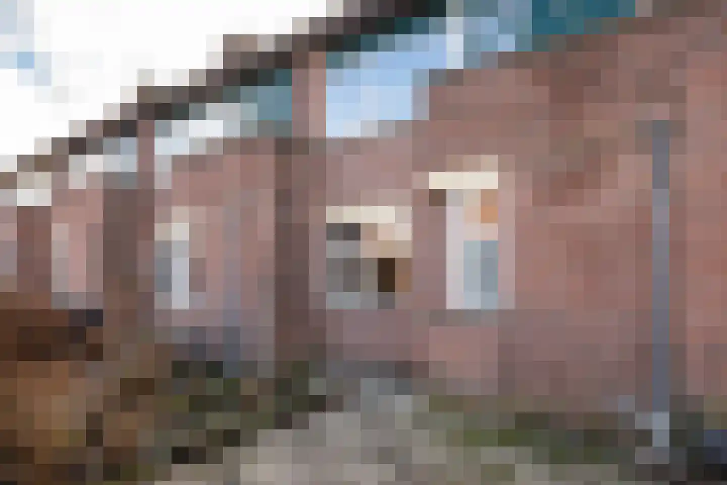 Jeneverbes 12 Rotterdam thumbnail 24