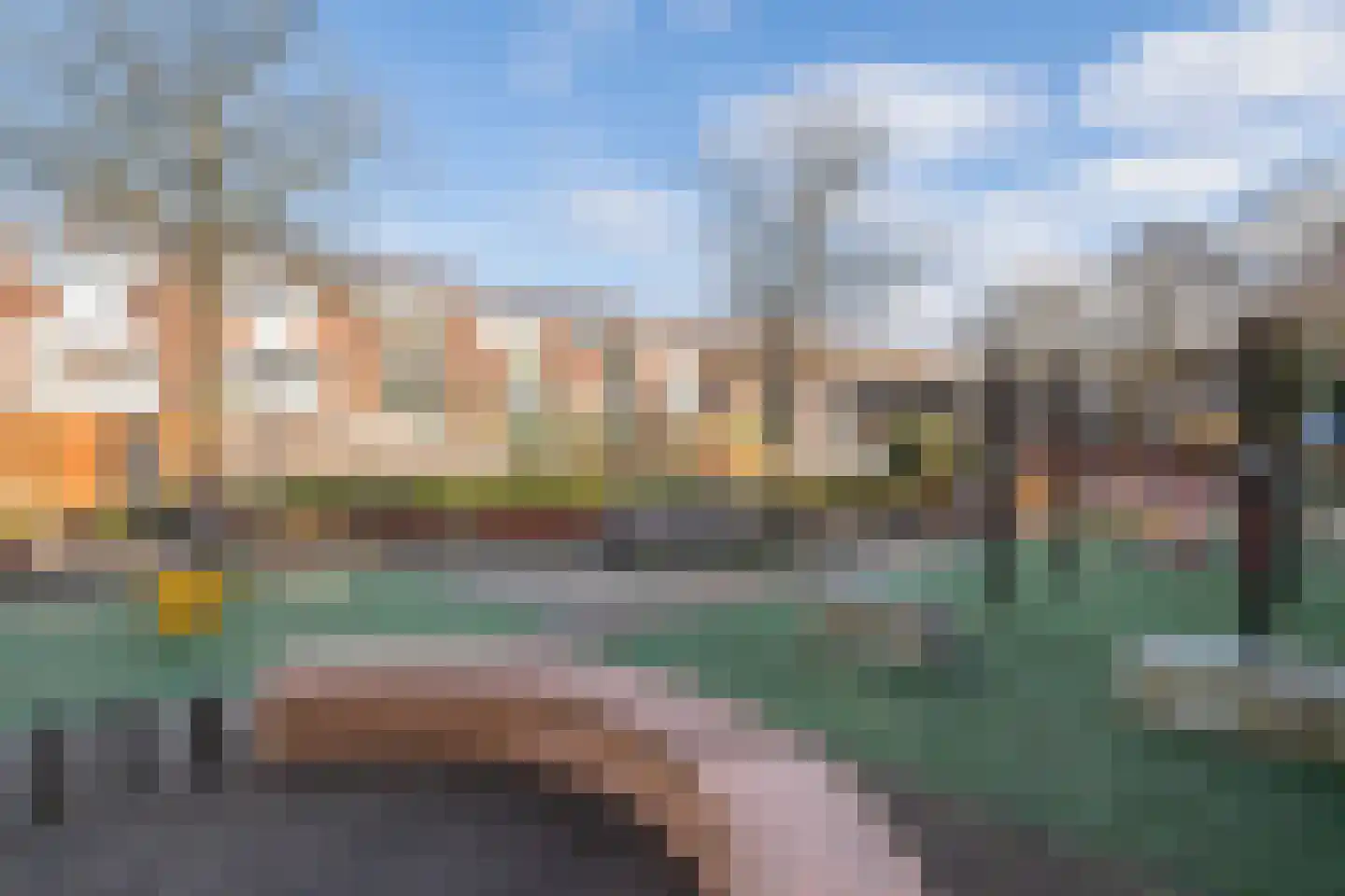 Jeneverbes 12 Rotterdam thumbnail 28