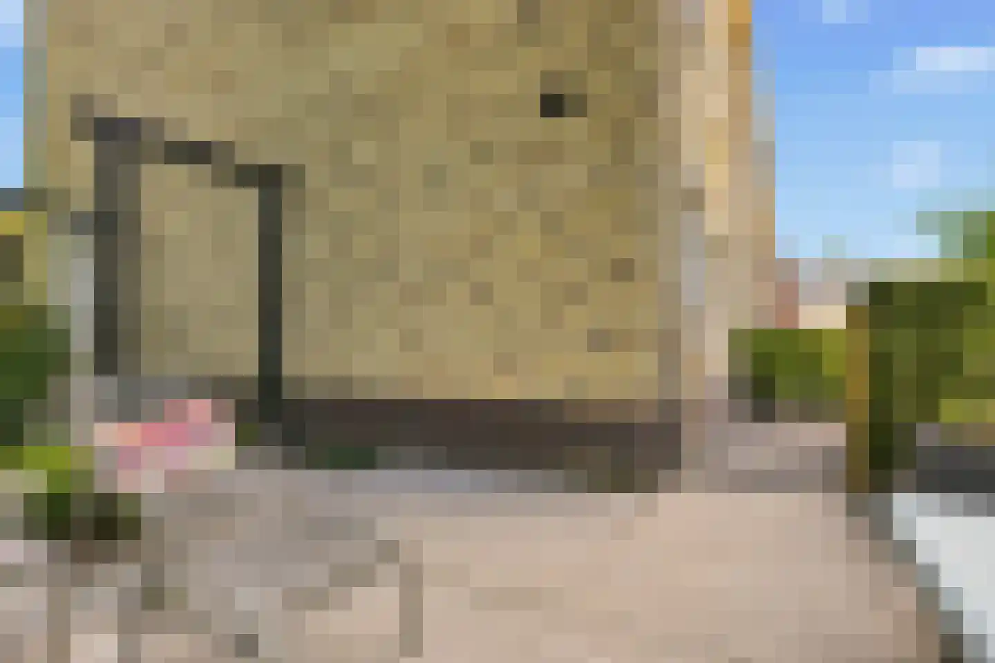 Jeneverbes 16 Heiloo thumbnail 30