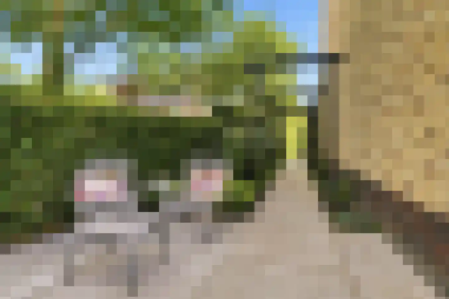 Jeneverbes 16 Heiloo thumbnail 31
