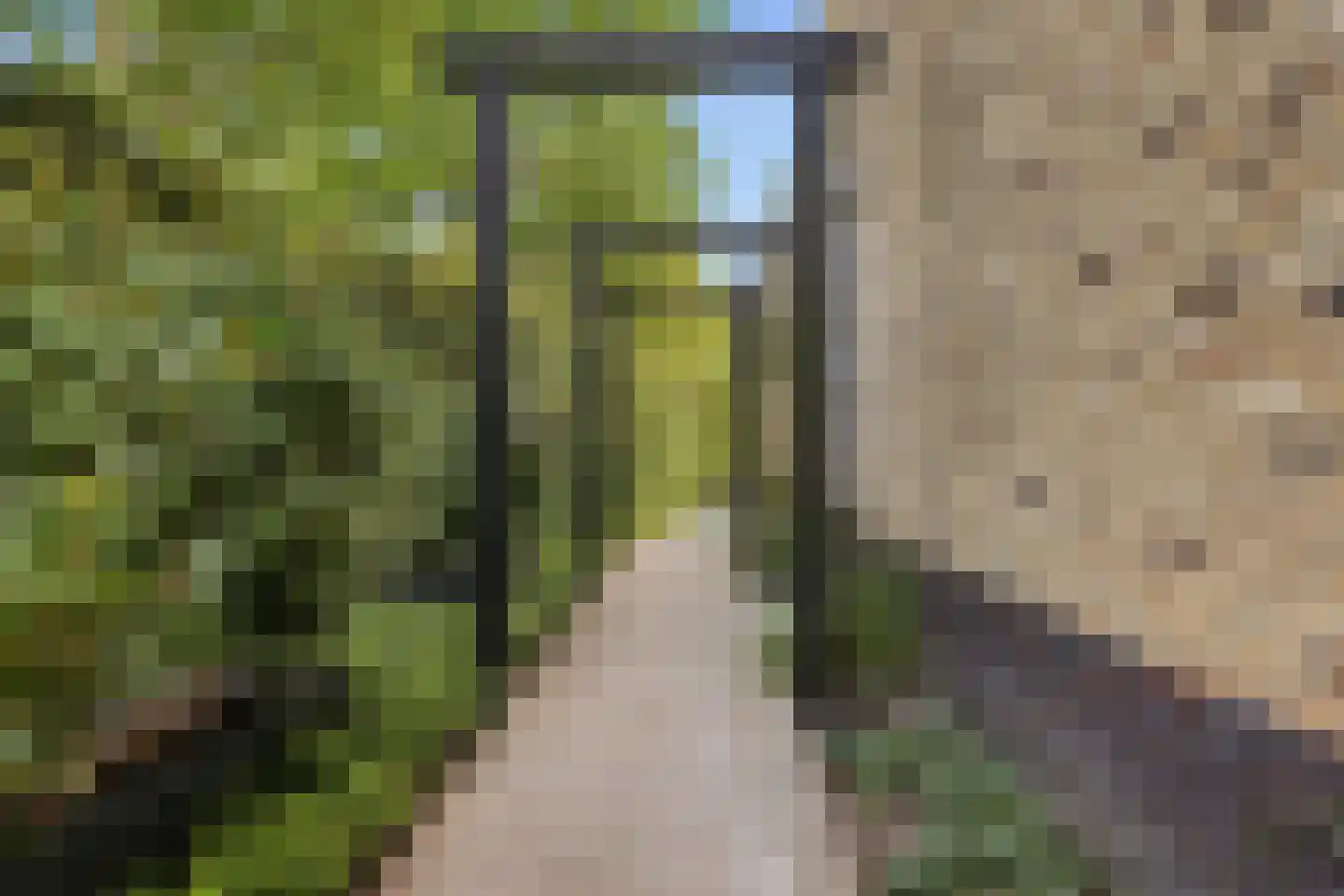 Jeneverbes 16 Heiloo thumbnail 32