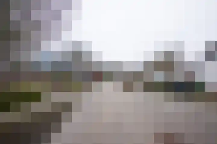 Jeneverbes 16 Oss thumbnail 19