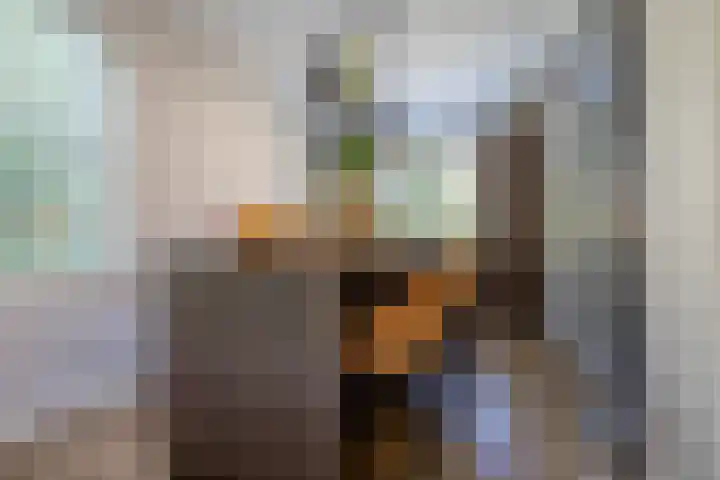 Jeneverbes 18 Heiloo thumbnail 13
