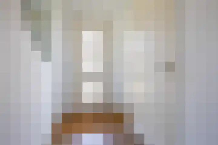 Jeneverbes 18 Heiloo thumbnail 17